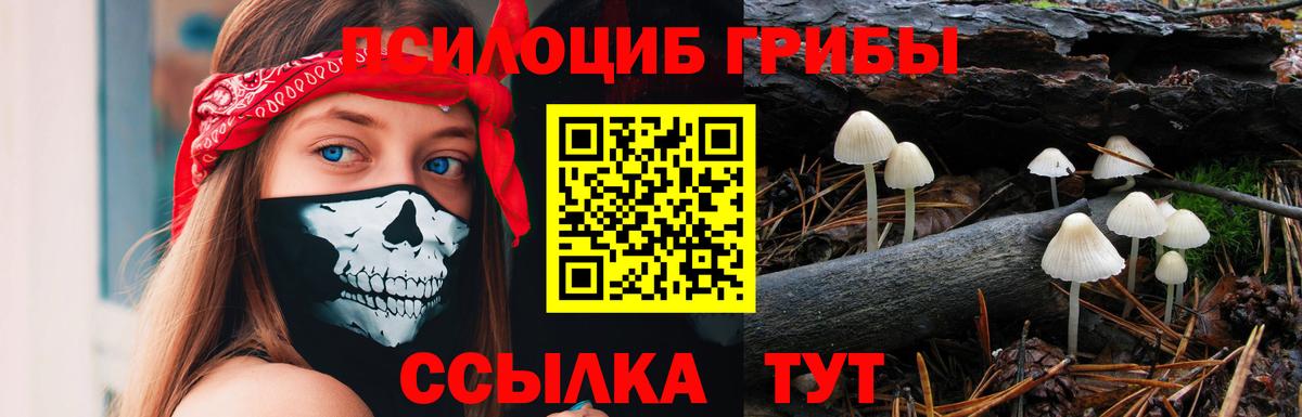 Псилоцибиновые грибы мицелий Сафоново