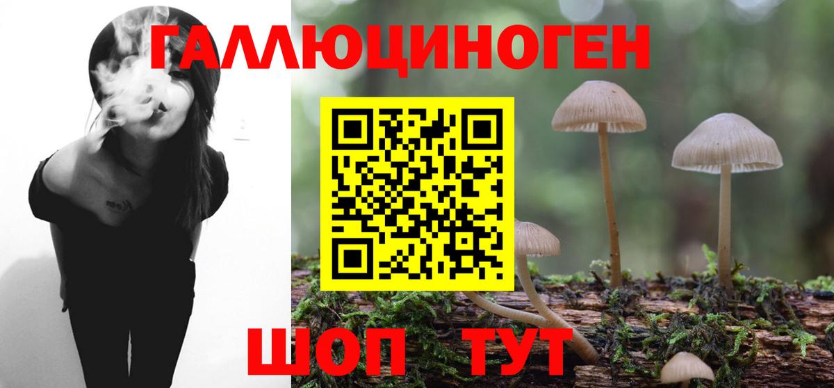 Сафоново  Галлюциногенные грибы Magic Shrooms  Вход с VPN 